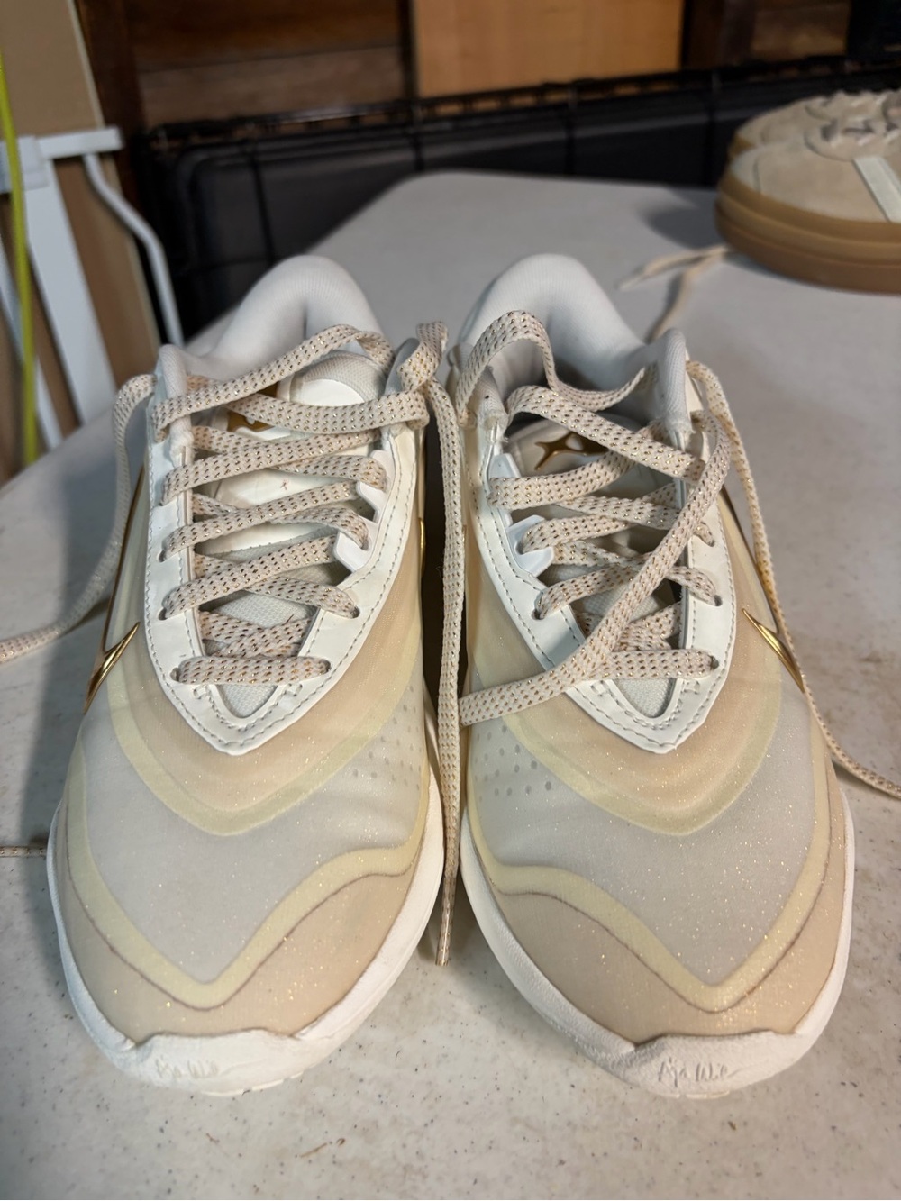Nike A’One Basketball Shoes